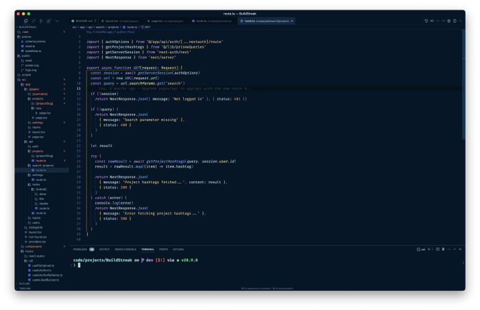 Development Journey