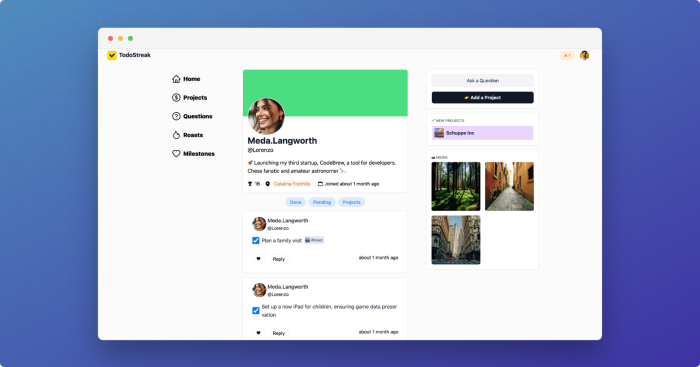 TodoStreak Profile Page